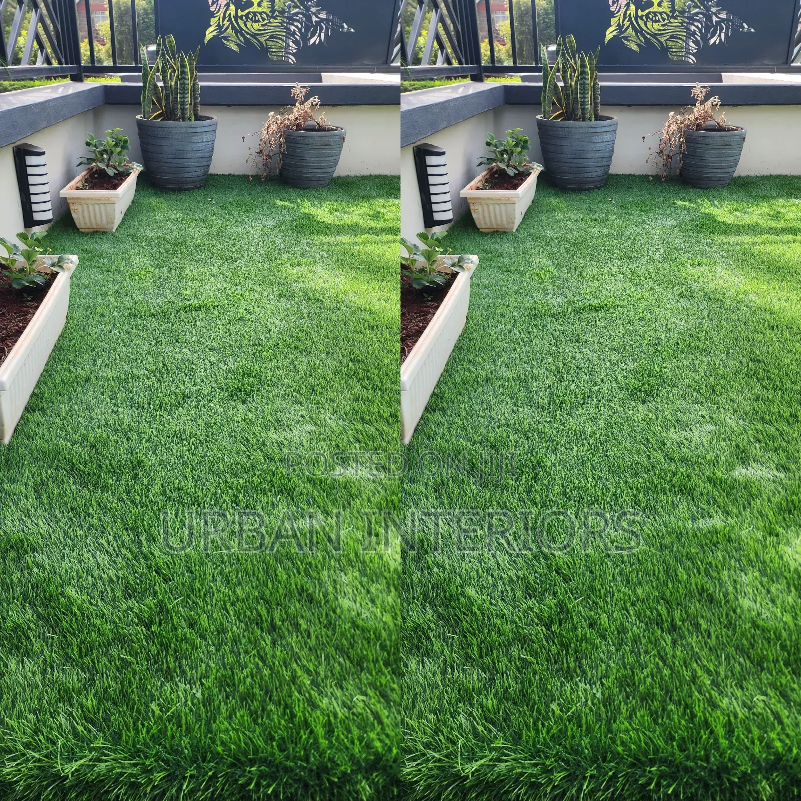 Artificial Grass Carpet Artificial Grass Carpet Beautiful Scenaries