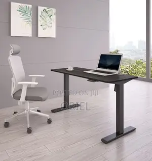 Electric Computer Desk : 1200cm Office Height Adjusted Computer Desk