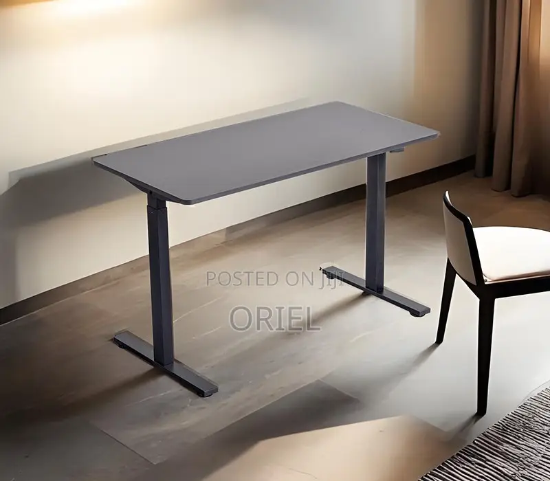 Electric Computer Desk : 1200cm Office Height Adjusted Computer Desk
