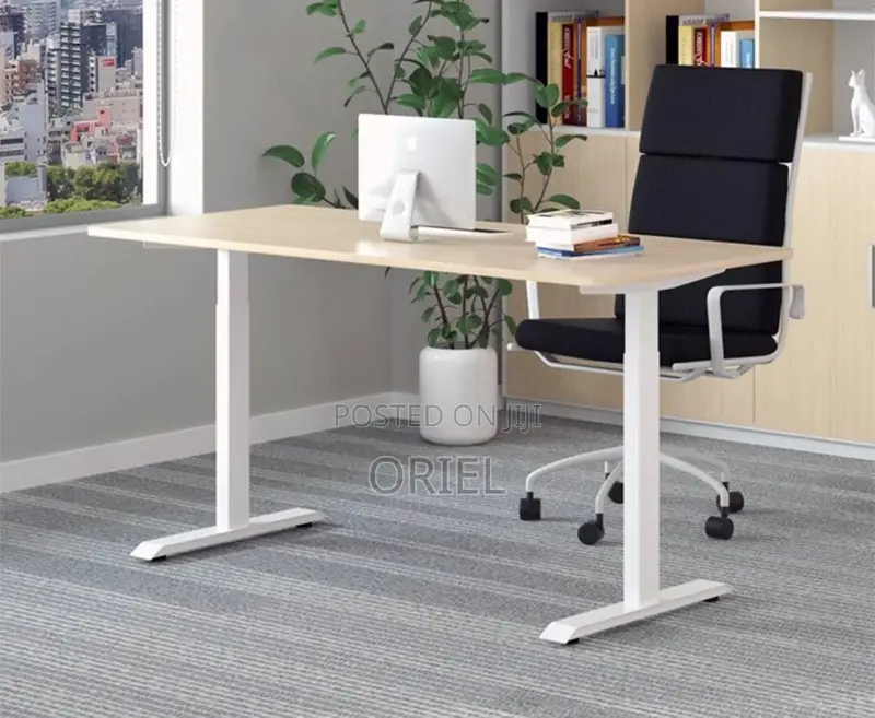 Electric Computer Desk : 1200cm Office Height Adjusted Computer Desk