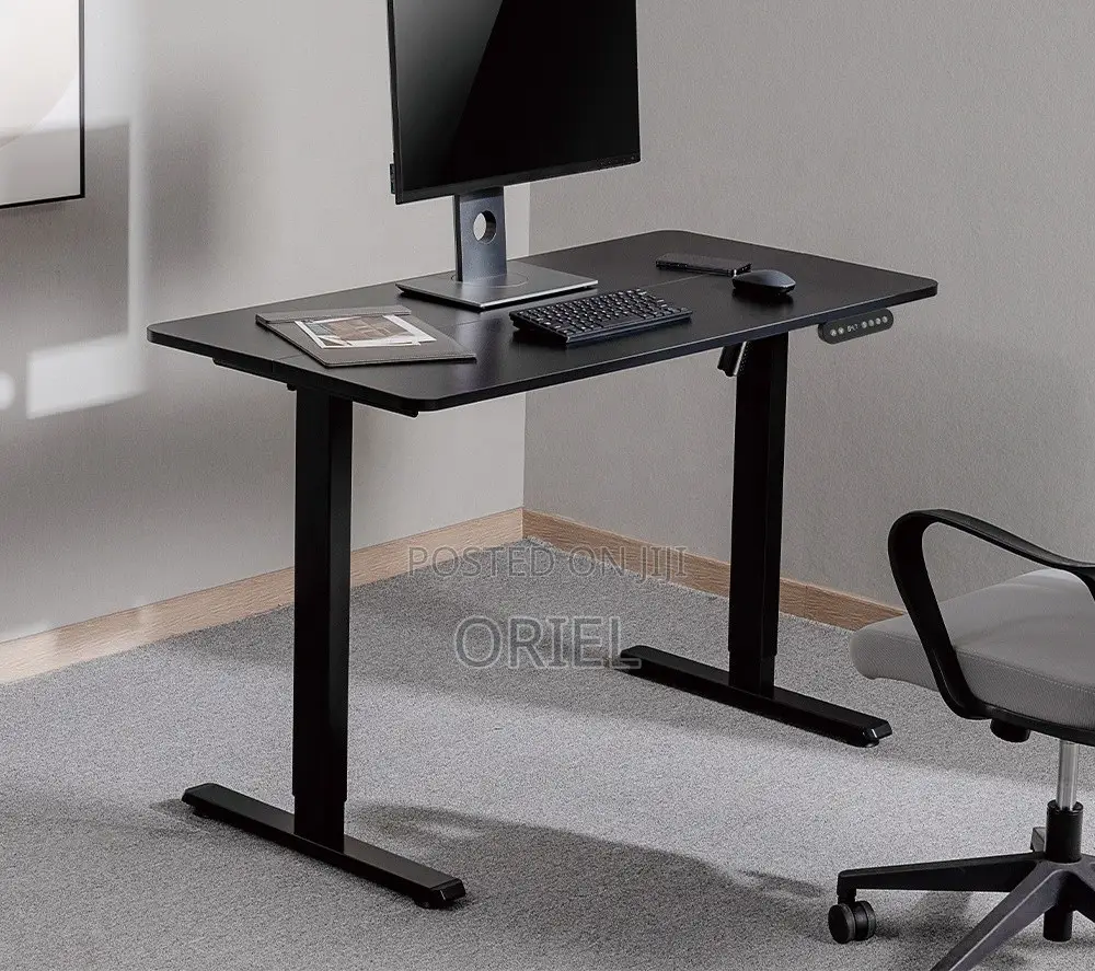 Electric Computer Desk : 1200cm Office Height Adjusted Computer Desk