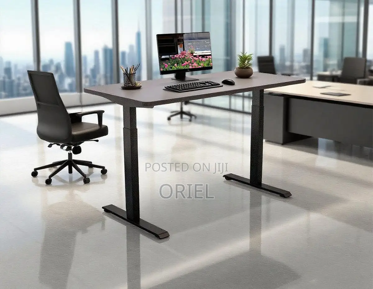 Electric Computer Desk : 1200cm Office Height Adjusted Computer Desk