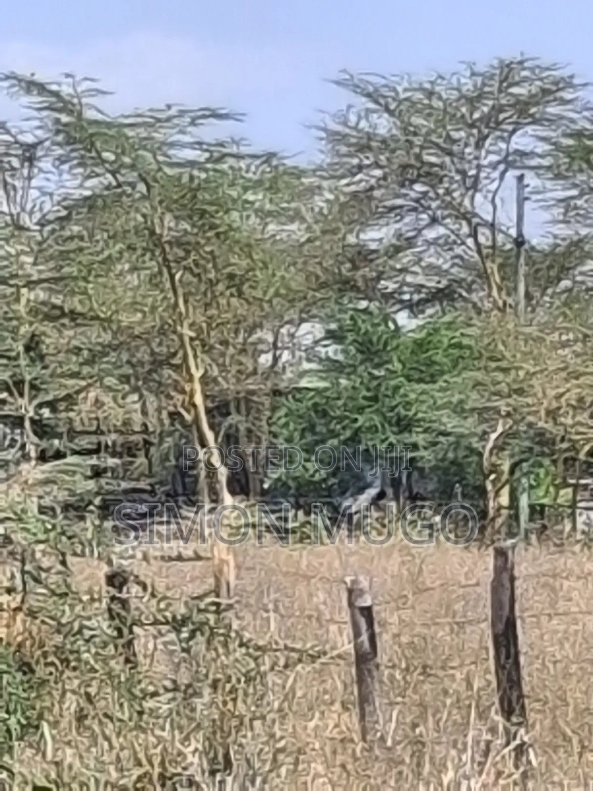 Isinya Township Prime Commercial 10ac Opposite Total Petrol Station