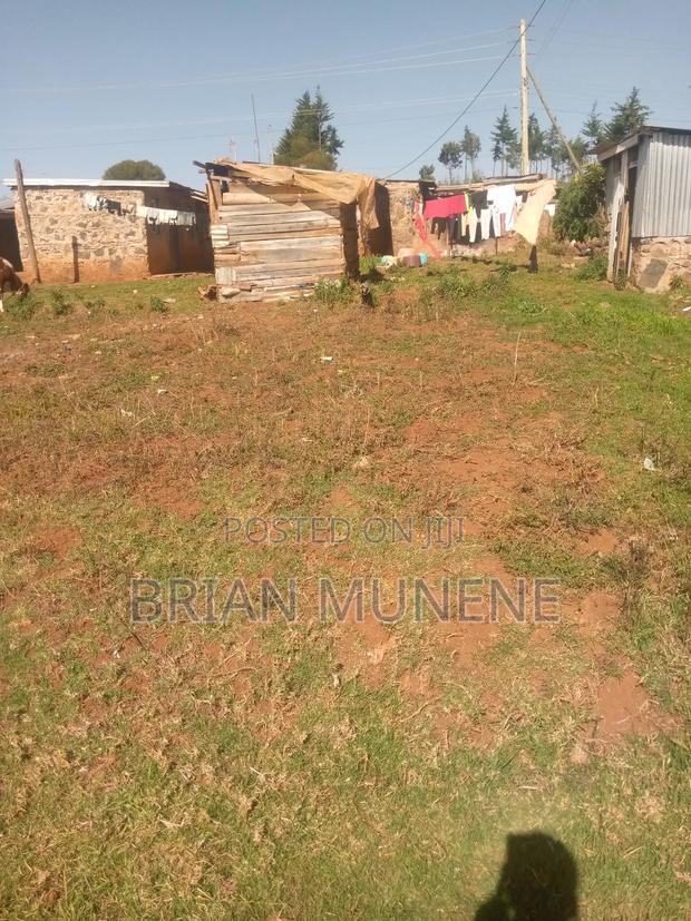 50/100plot for in Timau - main view