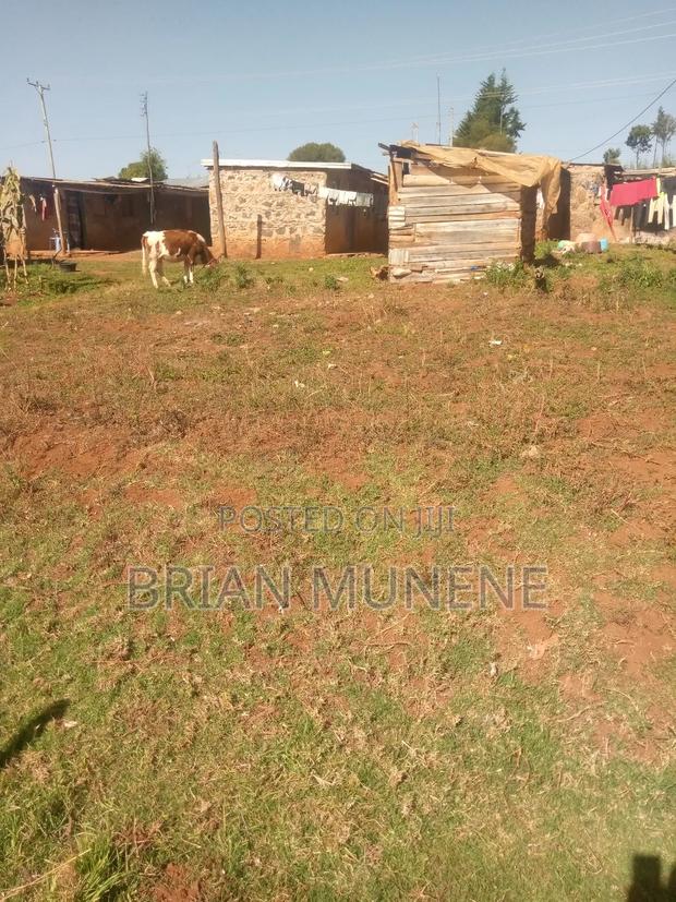 50/100plot for in Timau - thumbnail 6