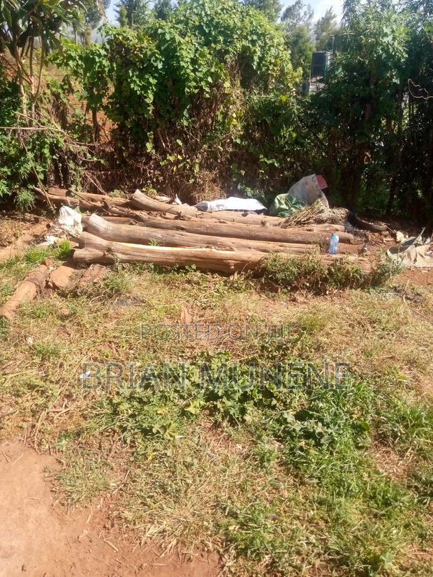 50/100plot for in Timau - thumbnail 7