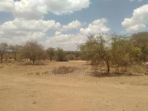 Ngatataek 500acres On Sale - thumbnail 2