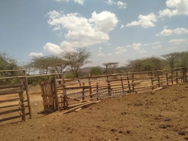 Ngatataek 500acres On Sale - thumbnail 5