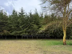 19-Acre Gorgeous Green Farm – 12km From Narok Town
