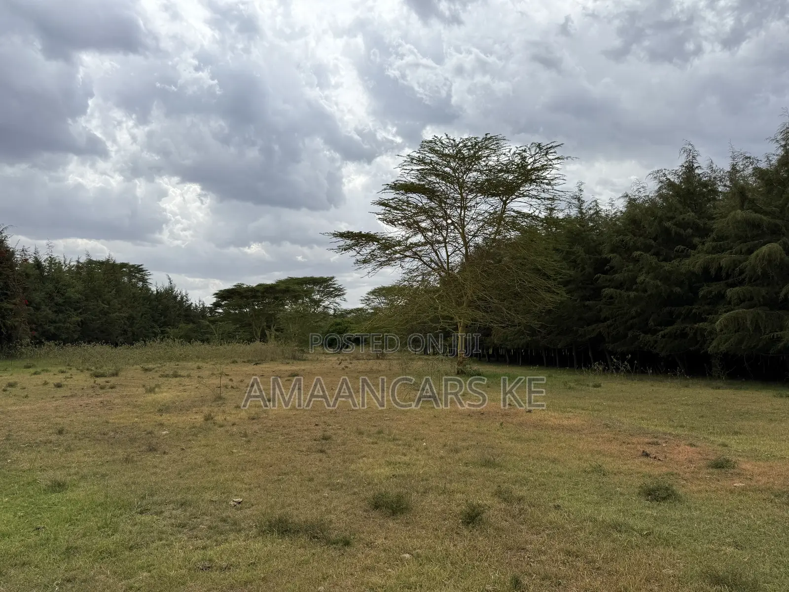 19-Acre Gorgeous Green Farm – 12km From Narok Town
