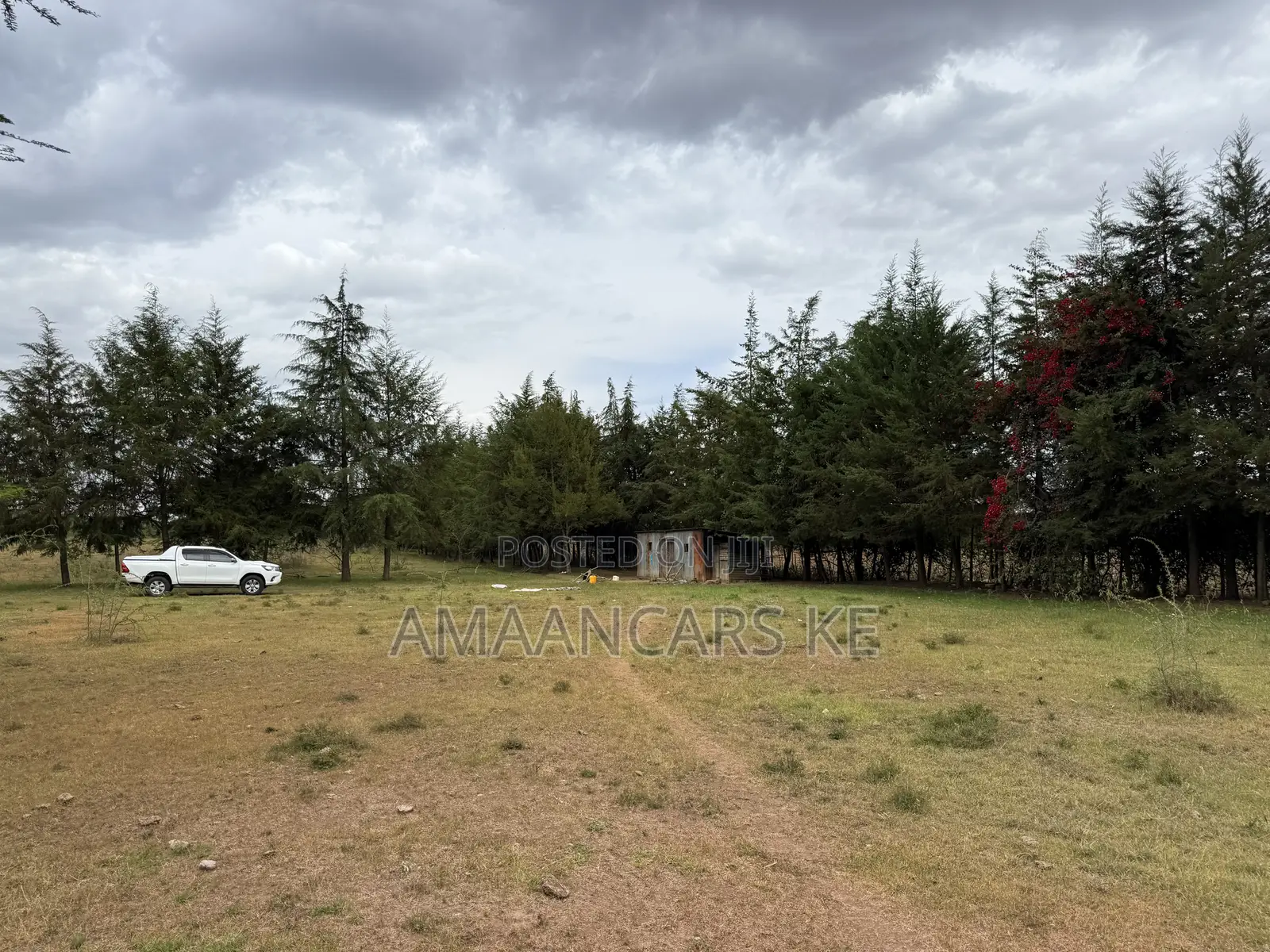 19-Acre Gorgeous Green Farm – 12km From Narok Town