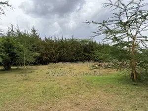 19-Acre Gorgeous Green Farm – 12km From Narok Town