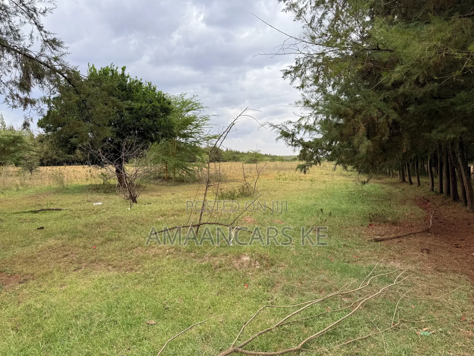 19-Acre Gorgeous Green Farm – 12km From Narok Town