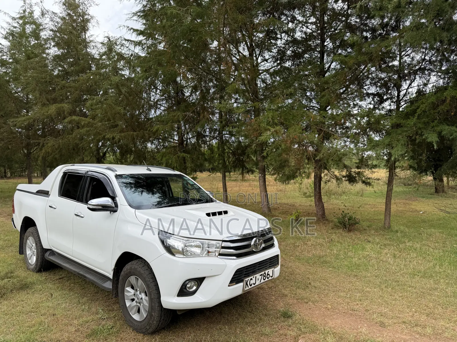 19-Acre Gorgeous Green Farm – 12km From Narok Town