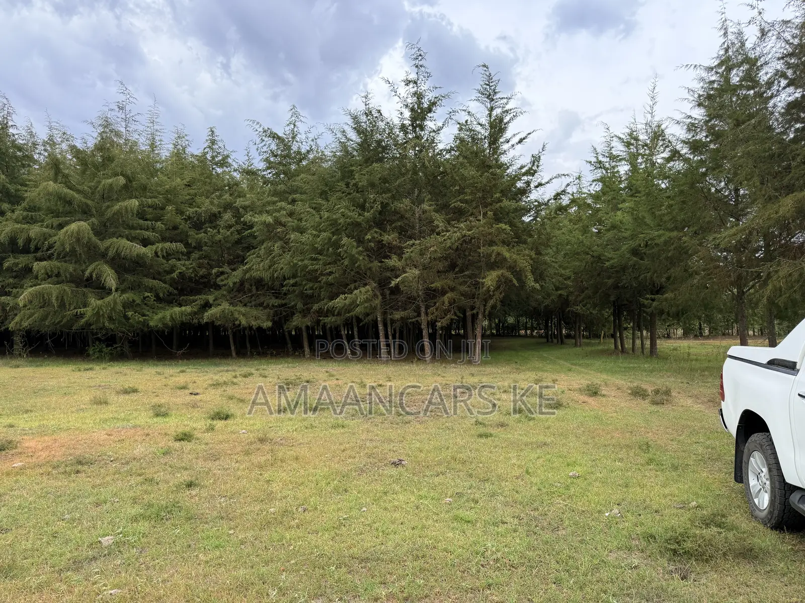19-Acre Gorgeous Green Farm – 12km From Narok Town