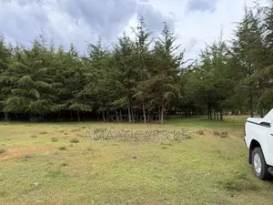 19-Acre Gorgeous Green Farm – 12km From Narok Town