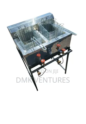 Surprising Modernized Gas Double Chips Fryer