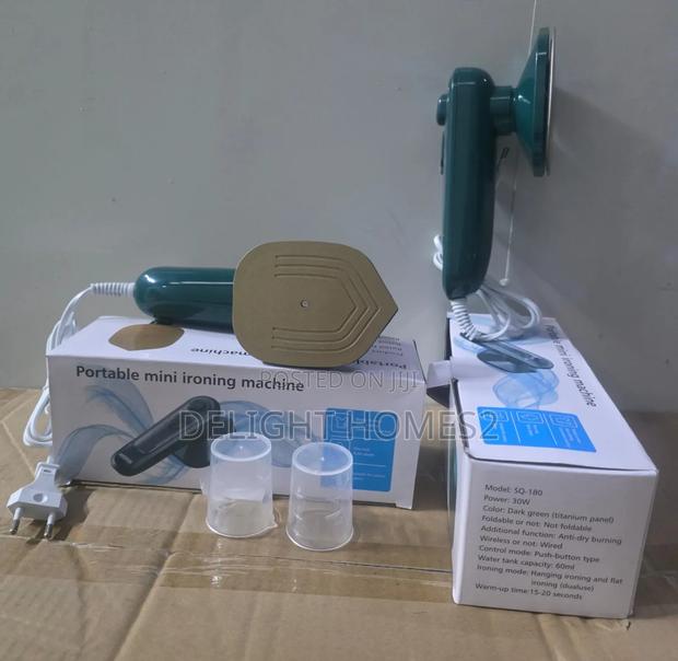 Electric Handheld Steam Iron_jim