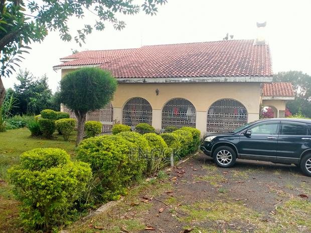 8bdrm Maisonette in Upper Elgonview for sale - thumbnail 11