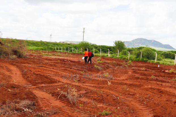 50 X100 Voi - main view