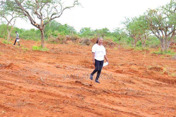 50 X100 Voi - thumbnail 2