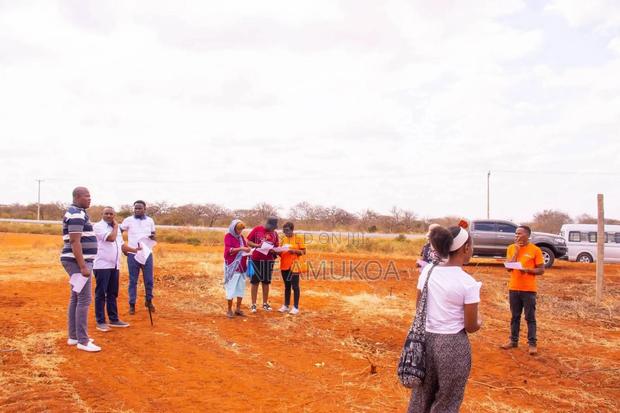 50 X100 Voi - thumbnail 3