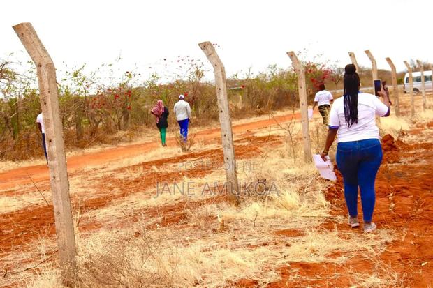 50 X100 Voi - thumbnail 4