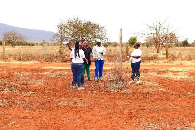 50 X100 Voi - thumbnail 5