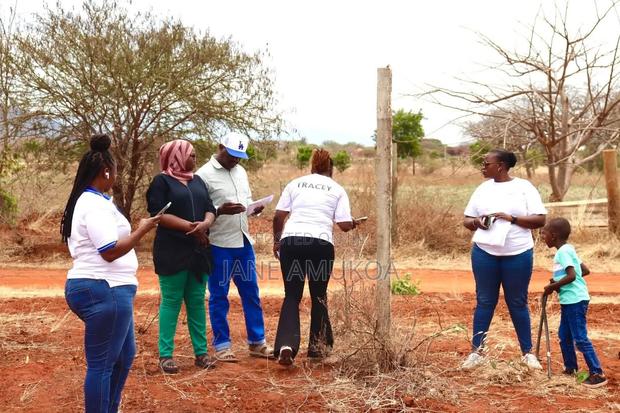 50 X100 Voi - thumbnail 6