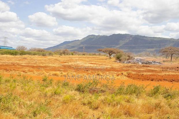 50 X100 Voi - thumbnail 9