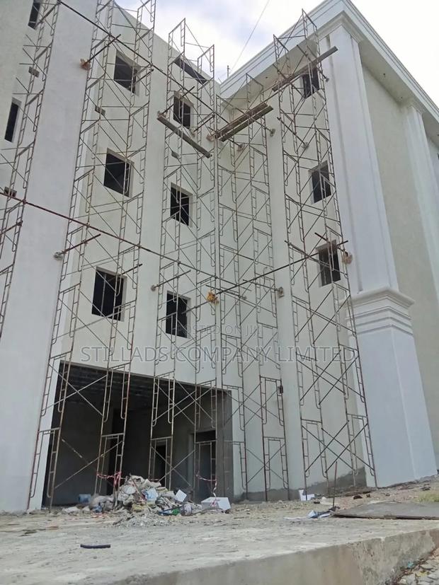 Painting Ladders /Frames