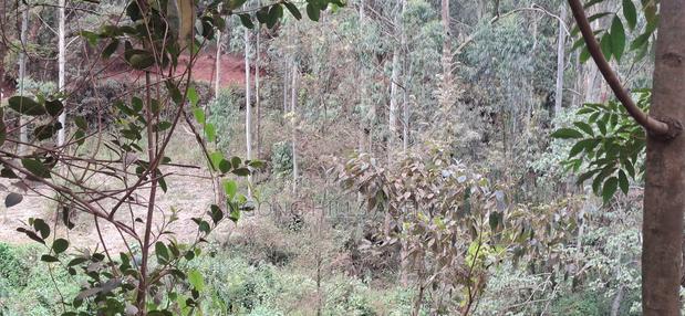 Prime 1-Acre Land for Sale: Kahara Road, Ngong