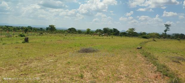 Matuu Plots - thumbnail 3