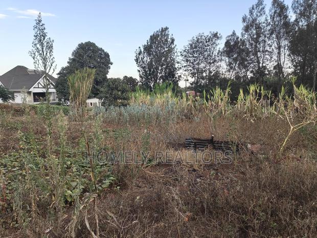 Eighth Acre Plot for Sale in Kerarapon Drive, With 2 Access Roads - thumbnail 4