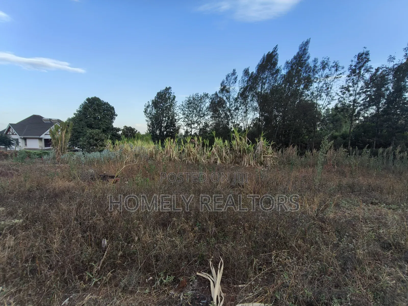 Residential Quarter Acre Plot for Sale in Kerarapon Drive, Ngong