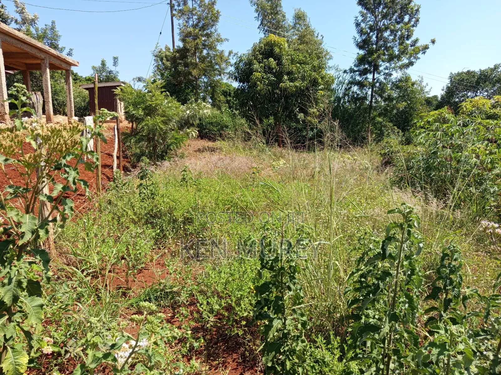 50x100 Sagana Plot