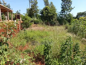 50x100 Sagana Plot
