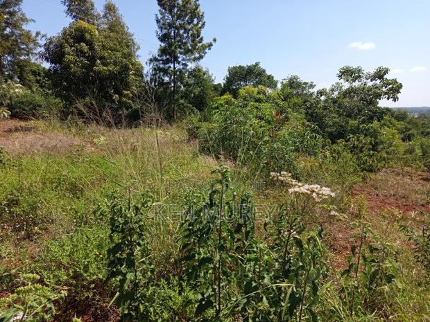 50x100 Sagana Plot - thumbnail 7