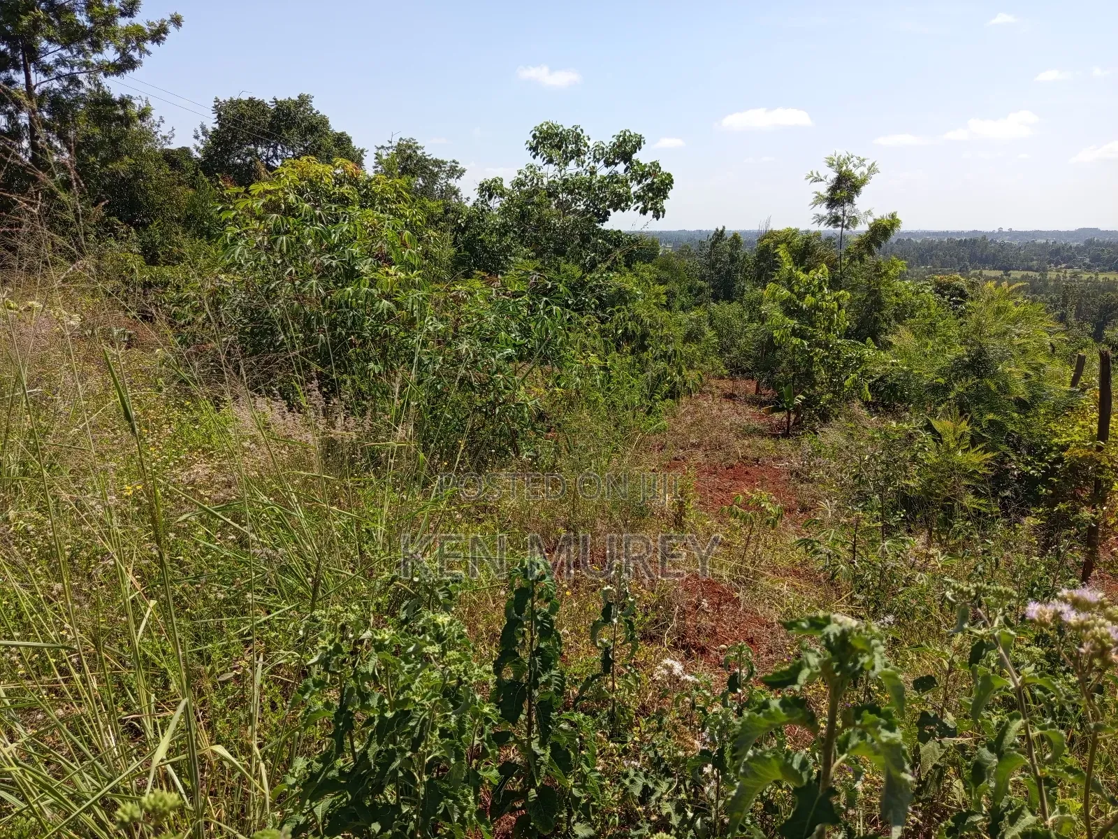 50x100 Sagana Plot