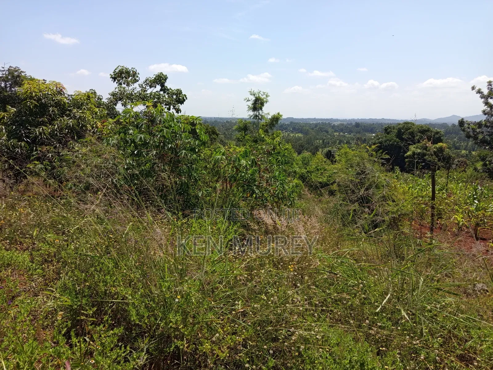 50x100 Sagana Plot