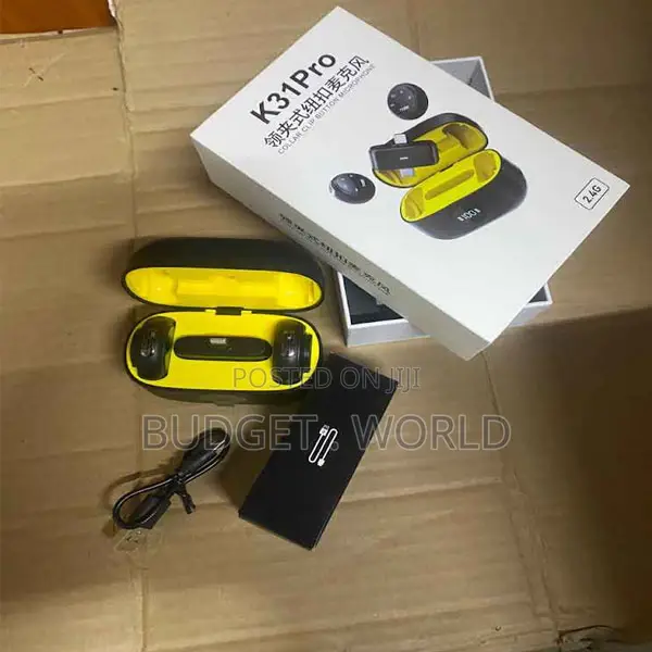  Professional Dual Wireless Mic With Usb Plug