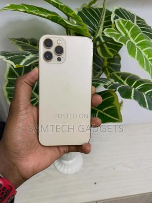 Apple iPhone 12 Pro Max 256 GB Silver - thumbnail 2