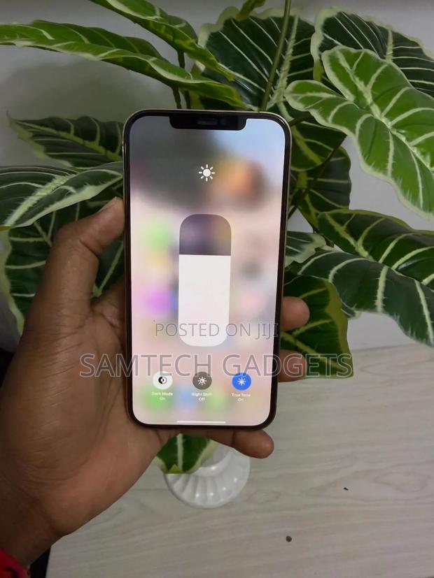 Apple iPhone 12 Pro Max 256 GB Silver - thumbnail 4