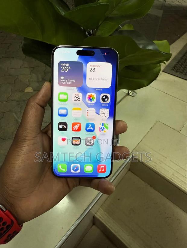 Apple iPhone 15 Pro Max 256 GB Gray - thumbnail 4