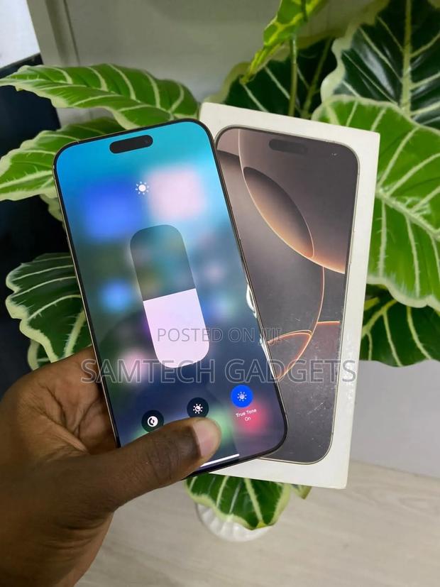 Apple iPhone 16 Pro Max 256 GB Silver - thumbnail 4