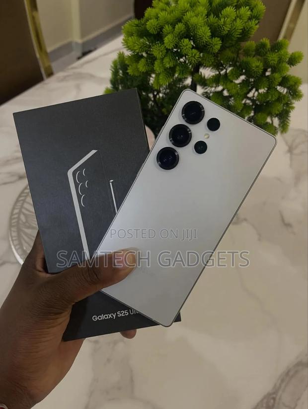 Samsung Galaxy S25 Ultra 256 GB Silver - main view