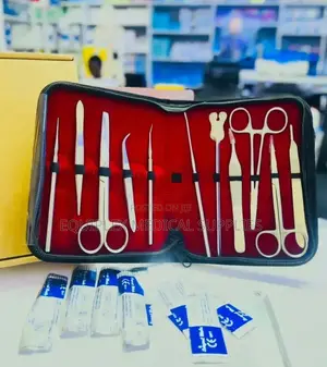 Dissecting Set Student