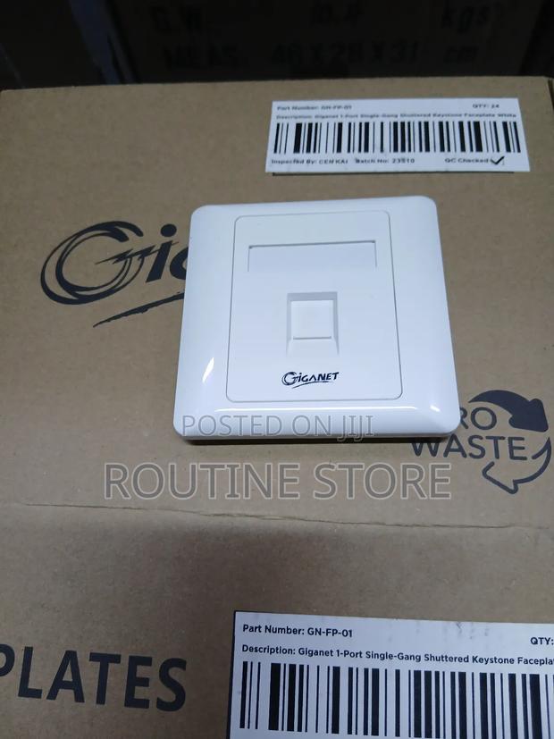 Giganet Ethernet Single Faceplate Cat 6a - main view