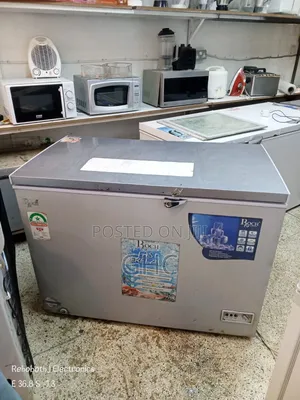 Roch 300l Deep Freezer