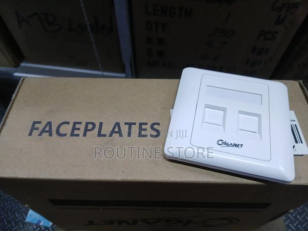 Giganet Ethernet Dual Faceplate Cat 6a - main view